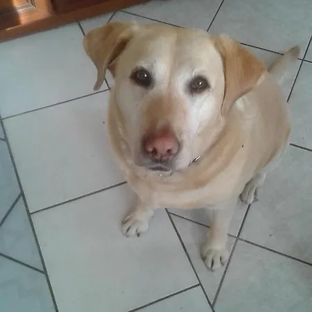 Bialy Dwor Farma Kostrzyca