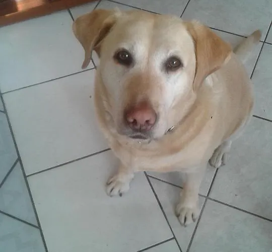 Bialy Dwor Фермерский дом Kostrzyca